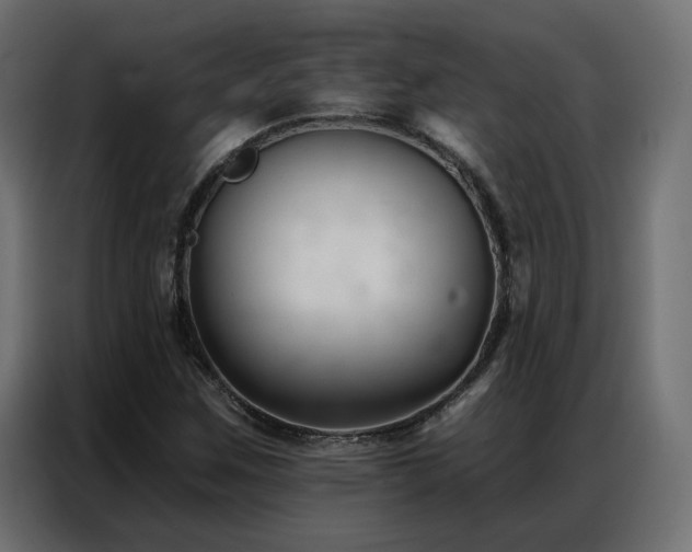X0000086901259200704161306