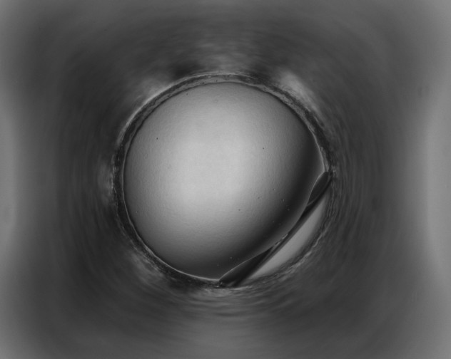 X0000086901260200704161306