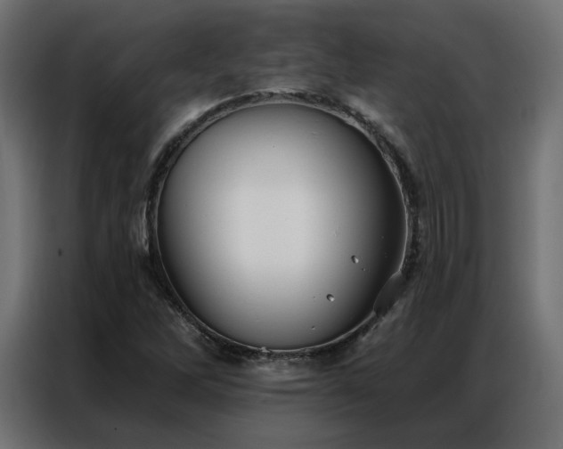 X0000086901262200704161306