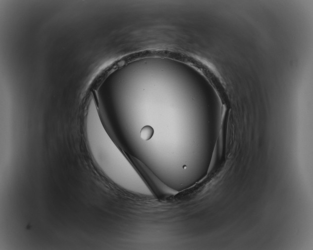 X0000086901263200704161306