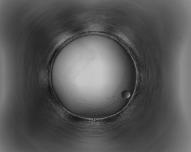 X0000086901266200704161306