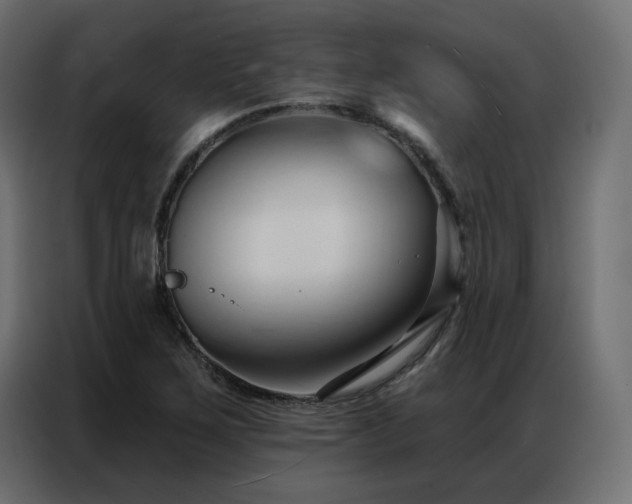 X0000086901267200704161306