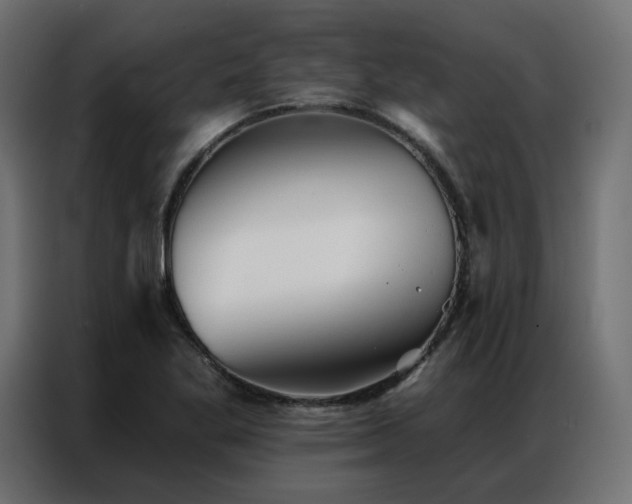 X0000086901269200704161306