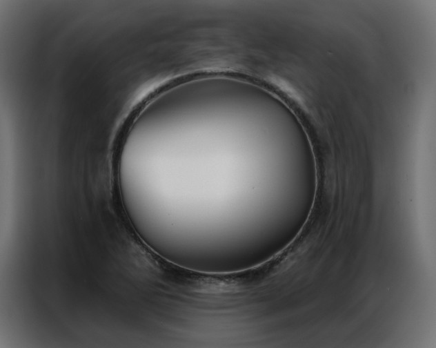 X0000086901270200704161306