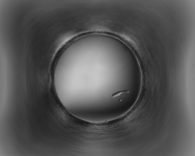 X0000086901271200704161306