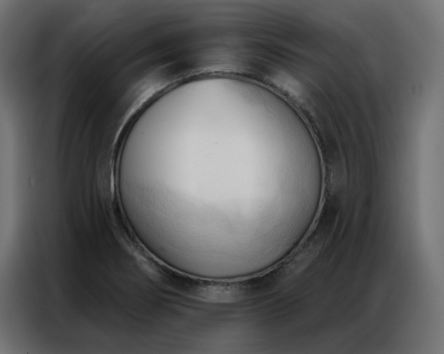 X0000086901274200704161306