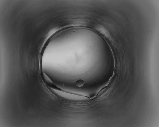 X0000086901275200704161306