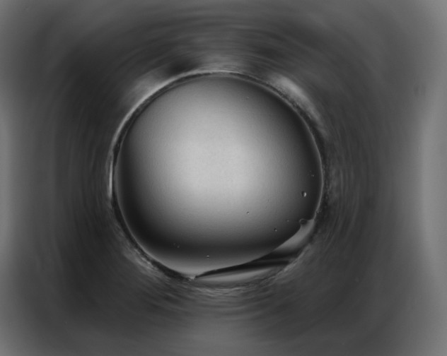 X0000086901276200704161306