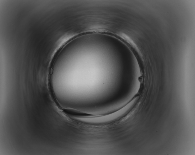 X0000086901277200704161305
