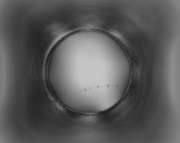 X0000086901278200704161305