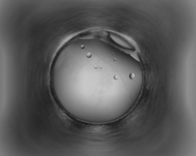X0000086901279200704161305