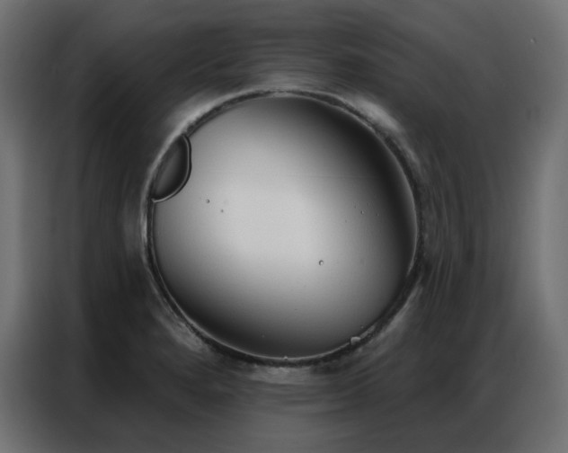 X0000086901280200704161305