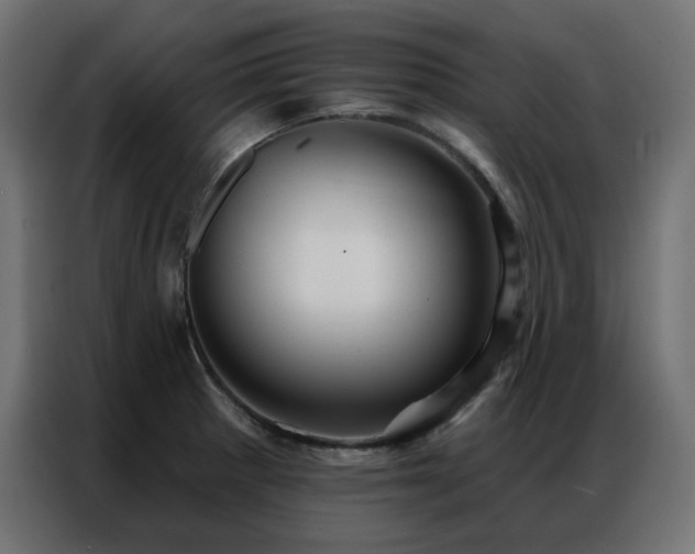 X0000086901281200704161305
