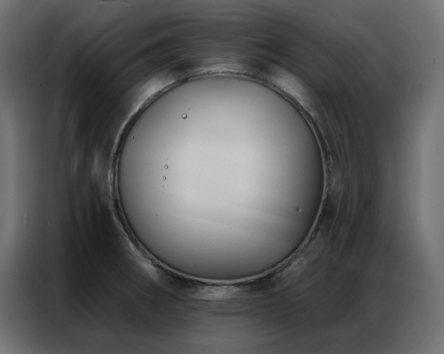X0000086901282200704161305