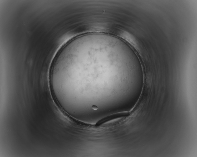 X0000086901283200704161305
