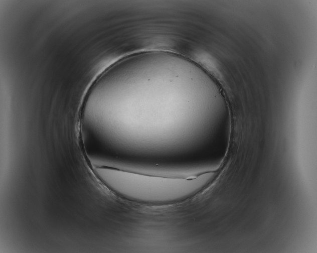 X0000086901284200704161305