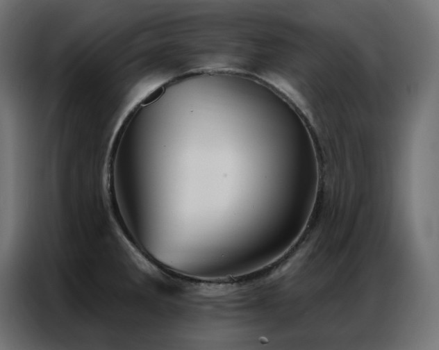 X0000086901285200704161305
