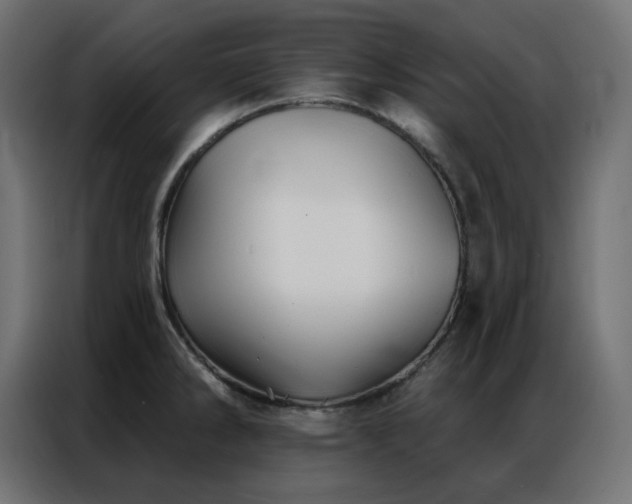 X0000086901286200704161305