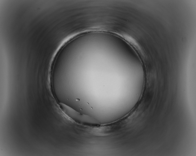 X0000086901288200704161305