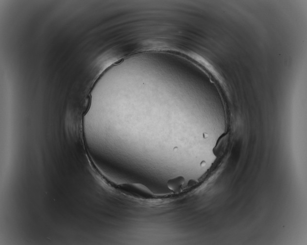 X0000086901289200704161305