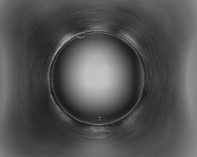 X0000086901291200704161305