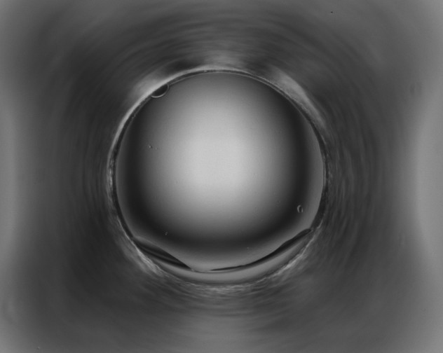 X0000086901292200704161305