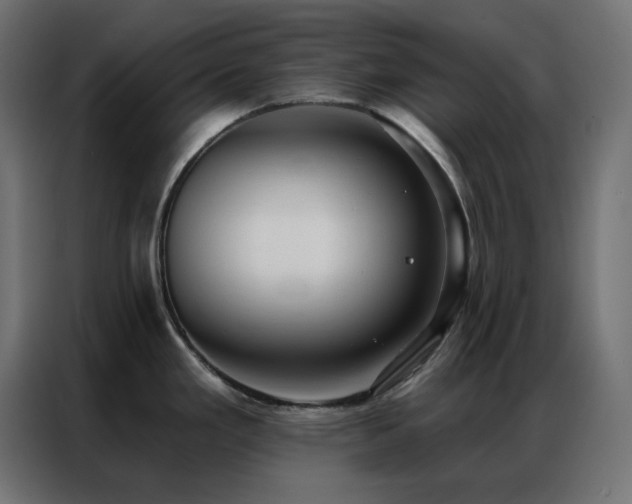 X0000086901293200704161305