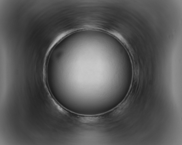 X0000086901294200704161305
