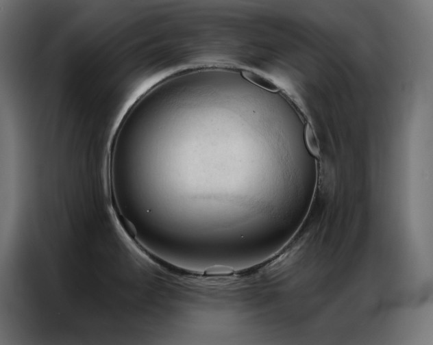 X0000086901295200704161305