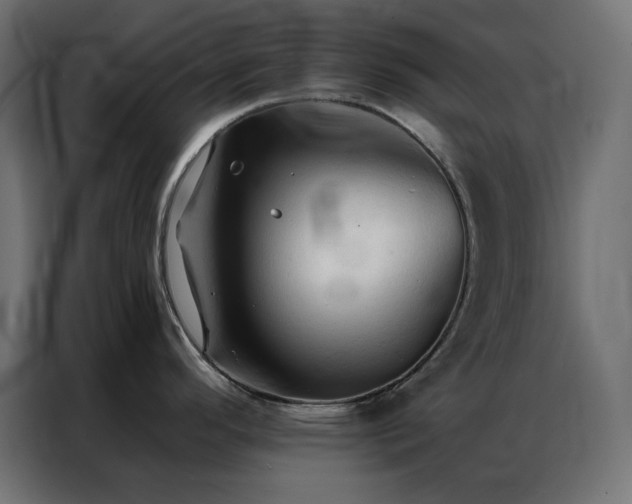 X0000086901296200704161305