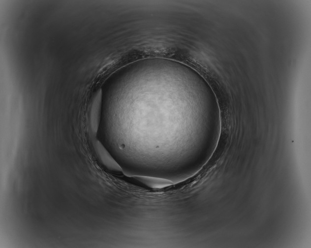 X0000086901297200704161304