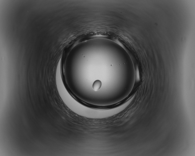 X0000086901298200704161304