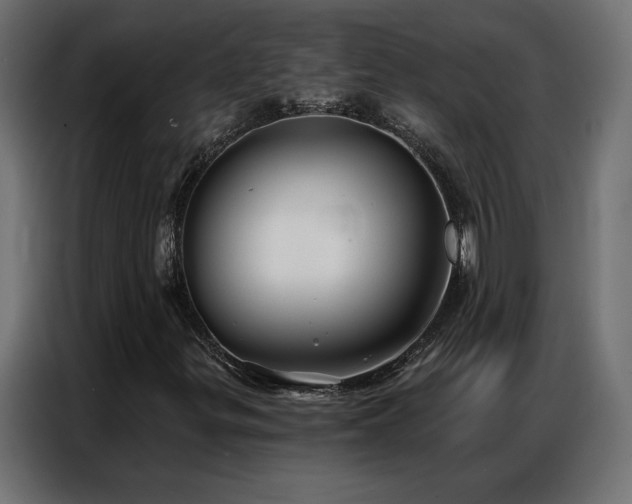 X0000086901299200704161304