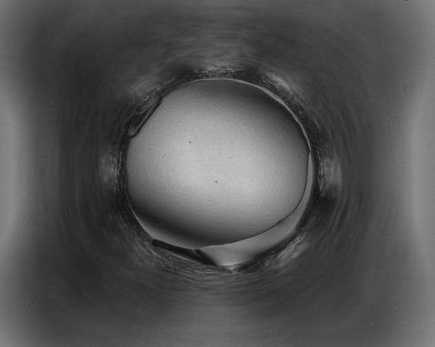 X0000086901300200704161304