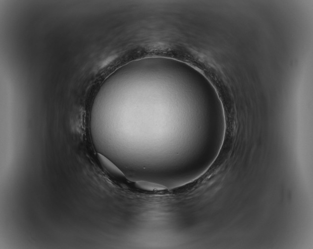 X0000086901301200704161304