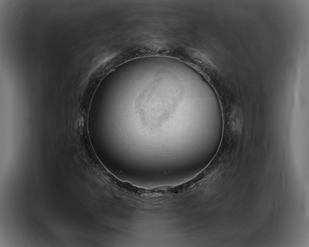 X0000086901302200704161304