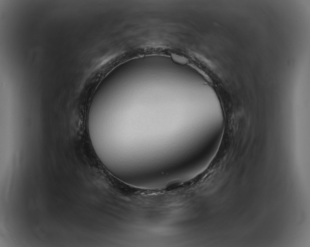 X0000086901303200704161304