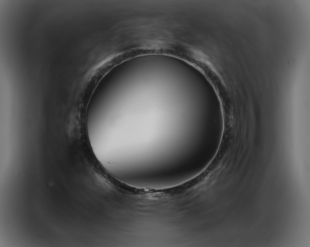 X0000086901304200704161304
