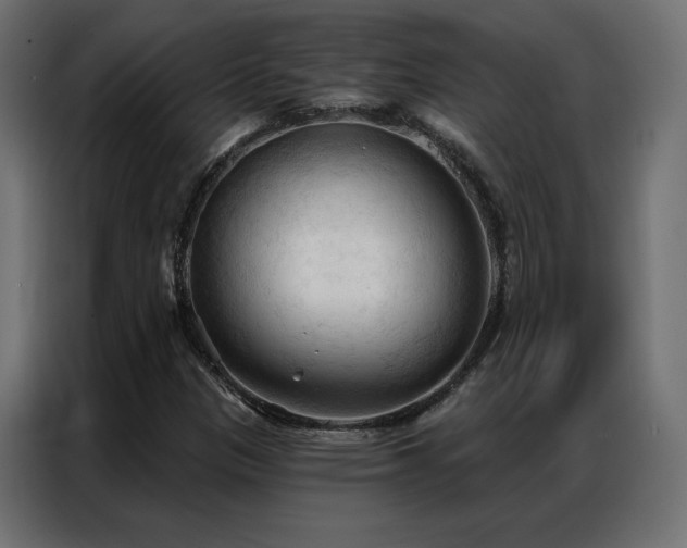 X0000086901305200704161304