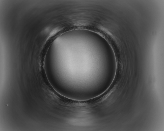 X0000086901306200704161304