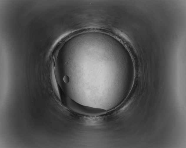 X0000086901310200704161305
