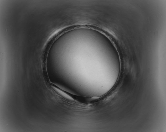 X0000086901311200704161305