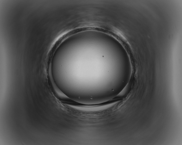 X0000086901312200704161305