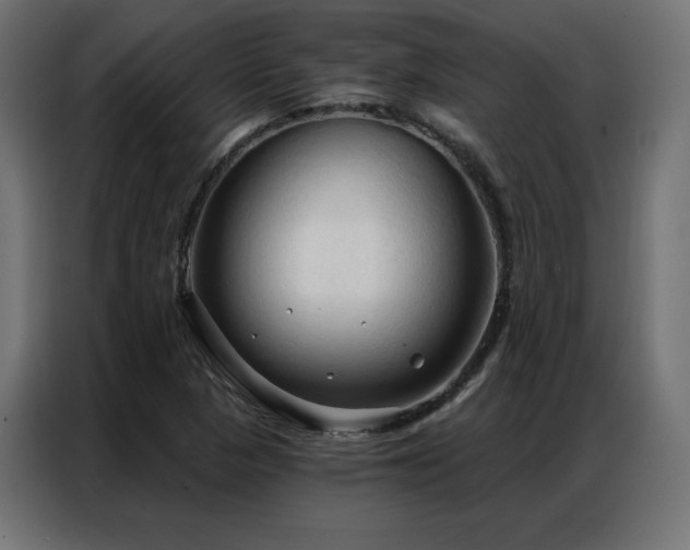 X0000086901313200704161305