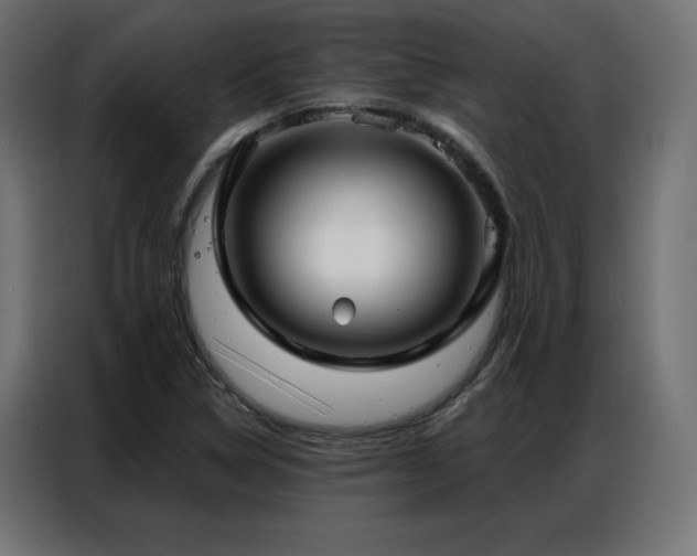 X0000086901314200704161305