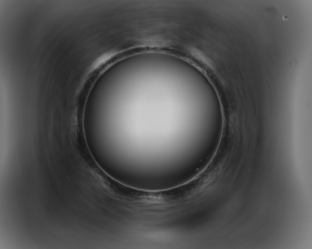 X0000086901315200704161305