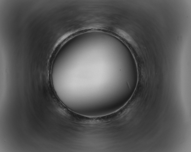 X0000086901316200704161305