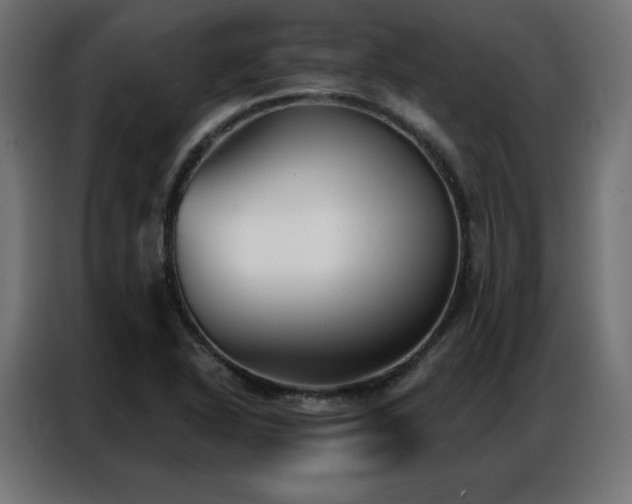 X0000086901318200704161305