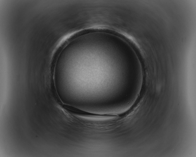 X0000086901319200704161305