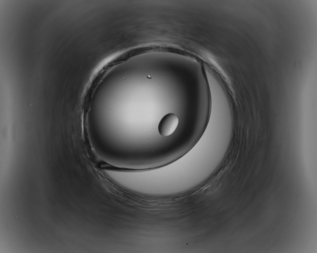 X0000086901320200704161305
